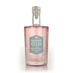 Sloemotion Hedgerow Gin - Rhubarb & Raspberry Flavoured Gin