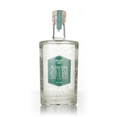 Sloemotion Hedgerow Gin